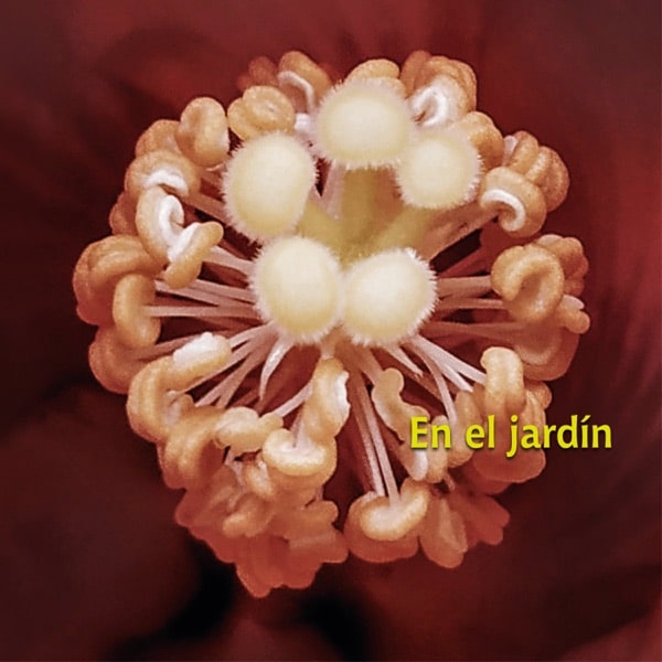 f:id:zawinul:20201226224312j:plain